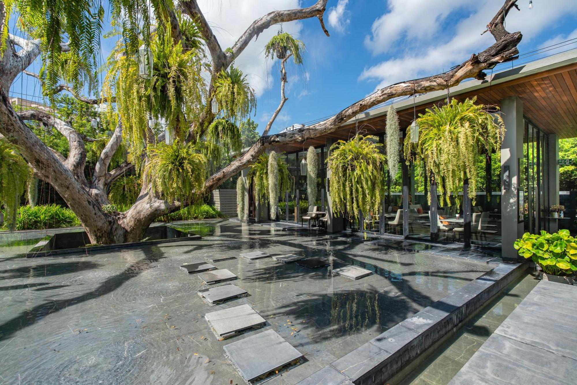 V Villas Hua Hin - Mgallery Collection מראה חיצוני תמונה